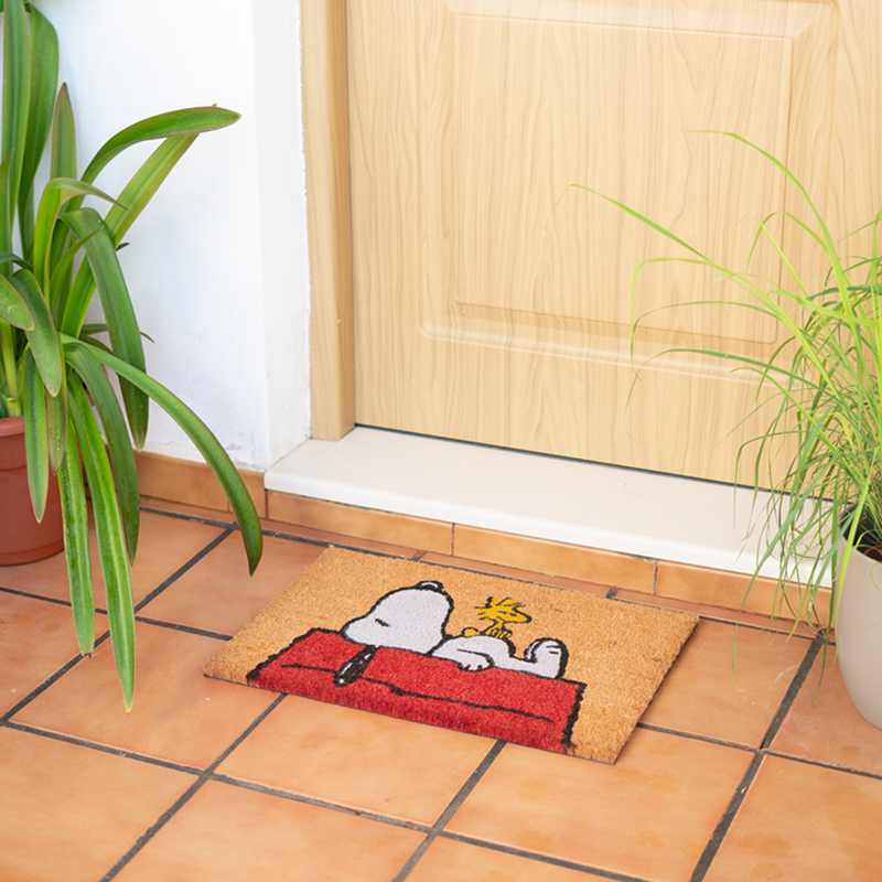 peanuts_license
